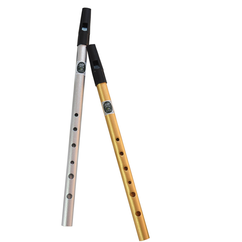 Penny Whistle D - Irish Whistle Flute C/D Key Ireland