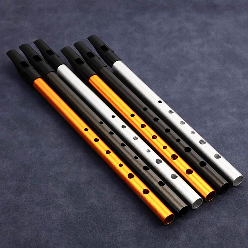 1PC Authentic Irish Whistle Fl - Penny Whistle D 评论和价格