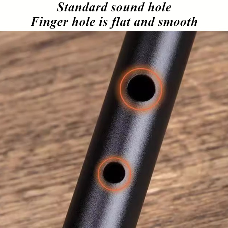 D Key Tin Whistle Beginner Chi - Penny Whistle D 评论和价格
