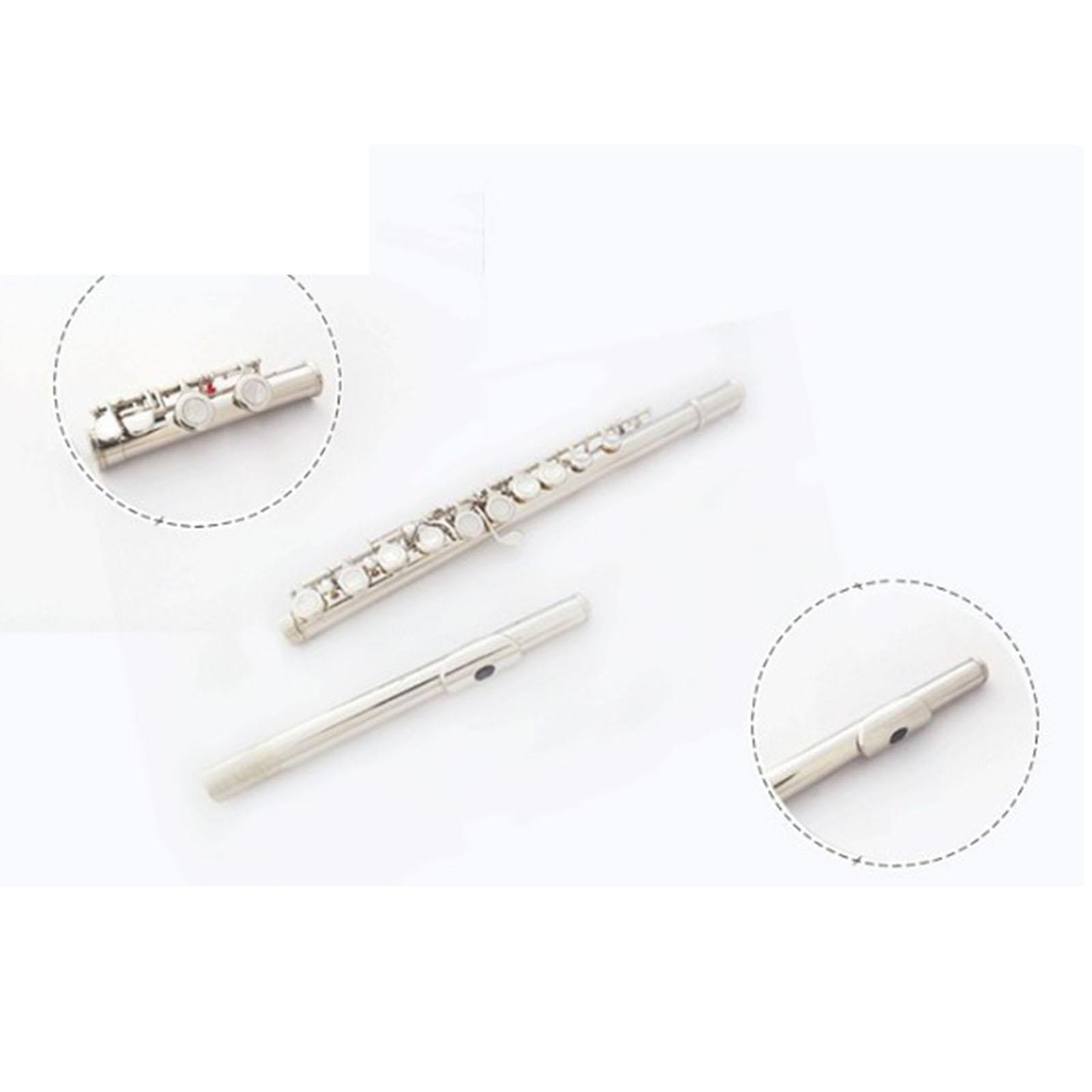 Easy Play 16 Key Flute Instrum - Musical Instrument I Play 评论和价格