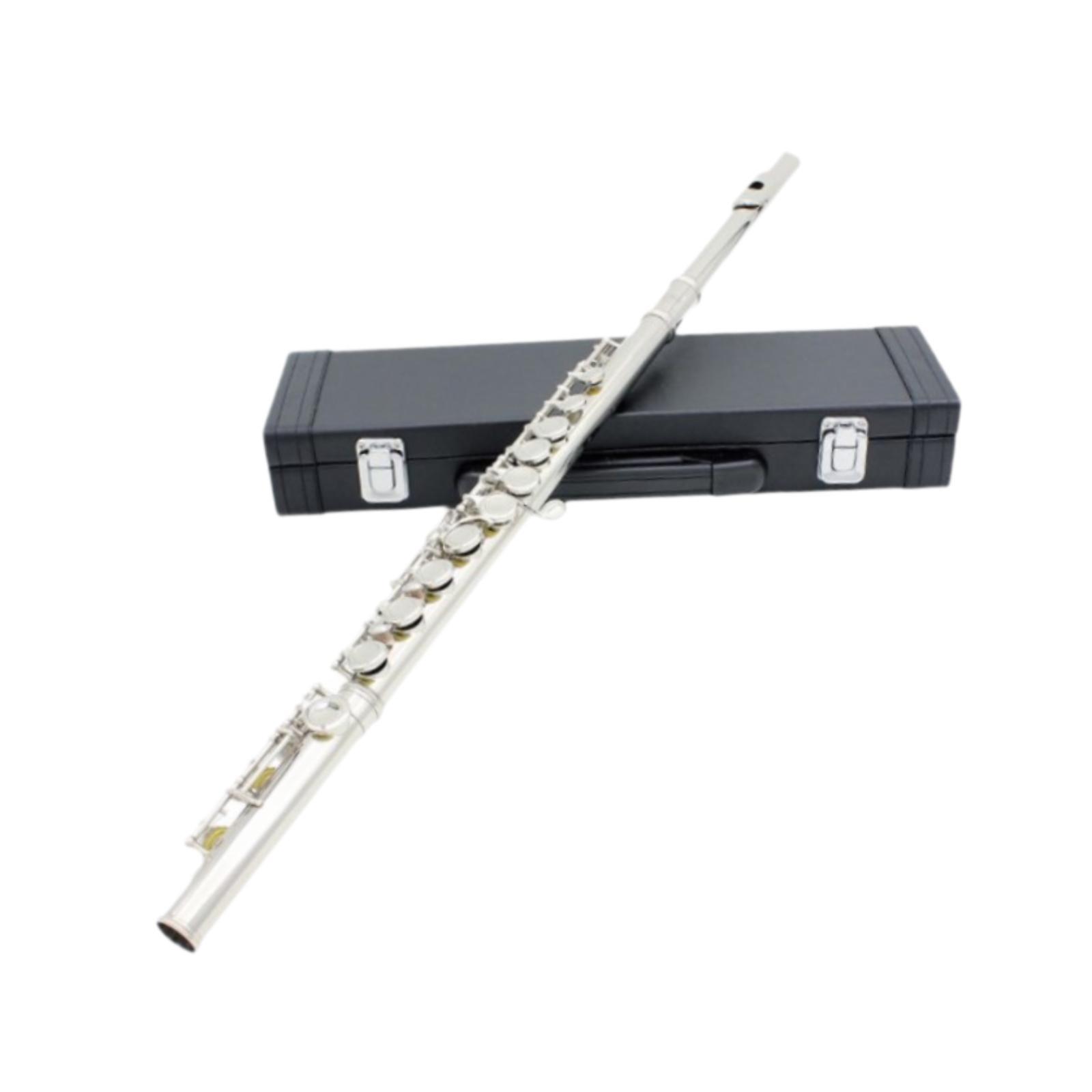 Easy Play 16 Key Flute Instrum - Musical Instrument I Play 评论和价格