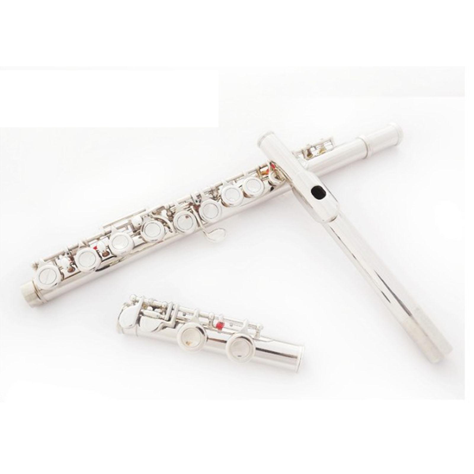 Easy Play 16 Key Flute Instrum - Musical Instrument I Play 评论和价格