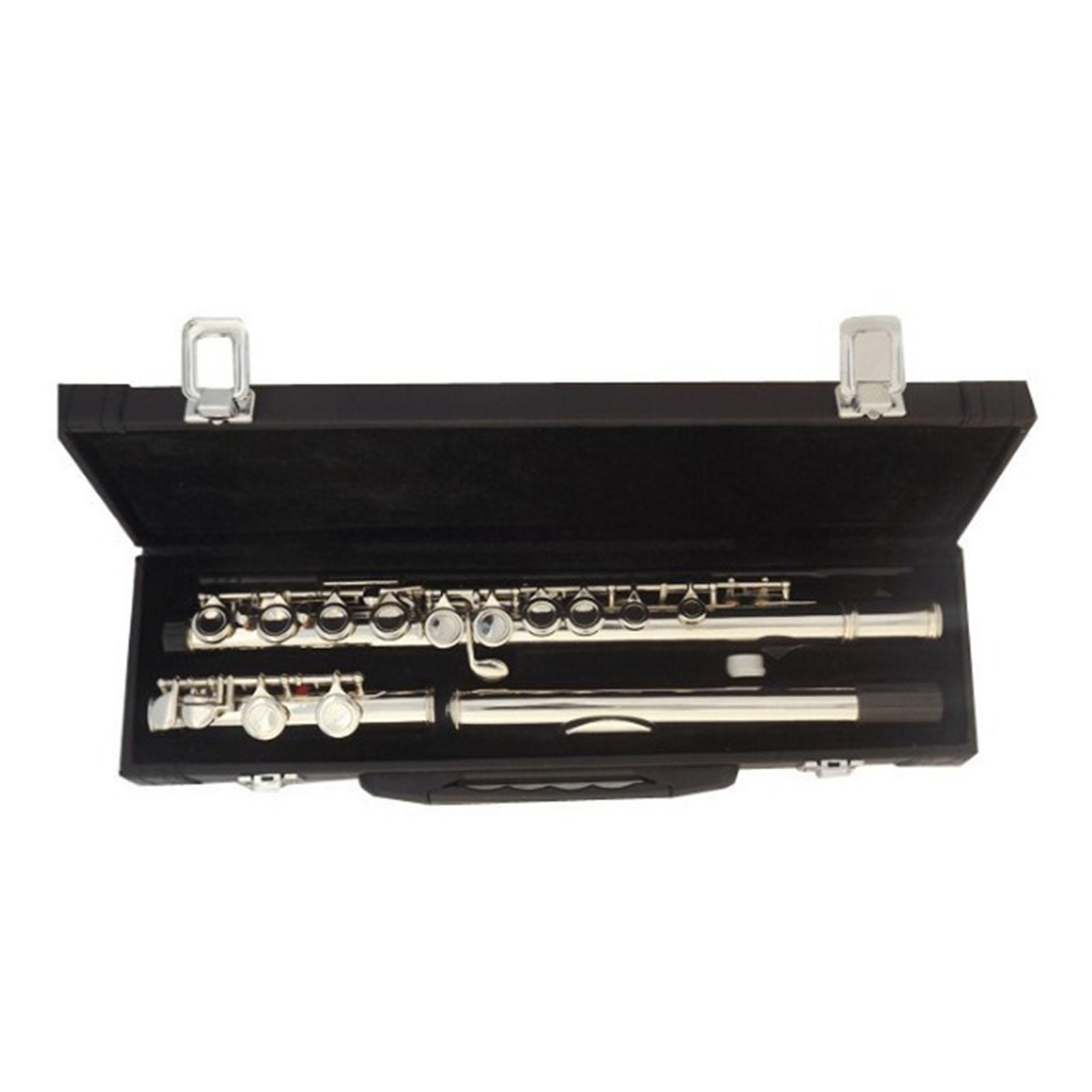 Easy Play 16 Key Flute Instrum - Musical Instrument I Play 评论和价格
