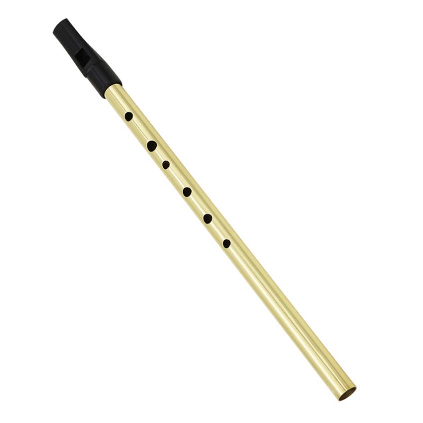 Irish Whistle Soprano Flute D  - Penny Whistle D 评论和价格
