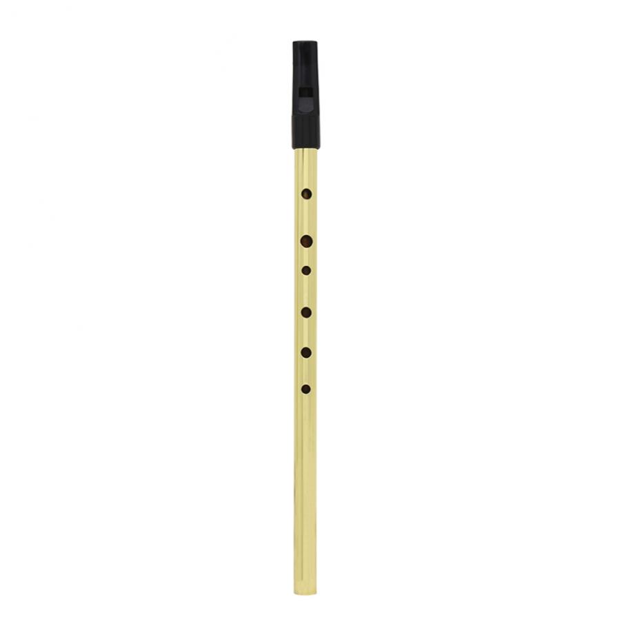 Irish Whistle Soprano Flute D  - Penny Whistle D 评论和价格