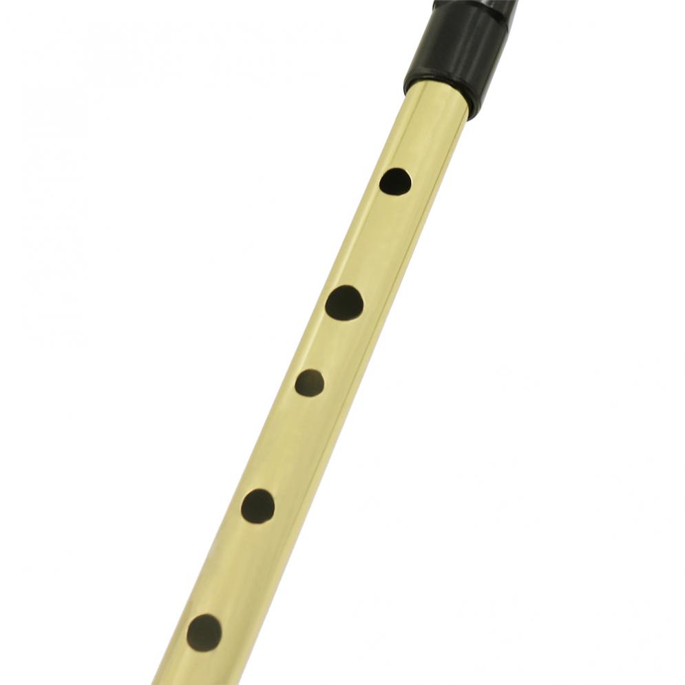 Irish Whistle Soprano Flute D  - Penny Whistle D 评论和价格