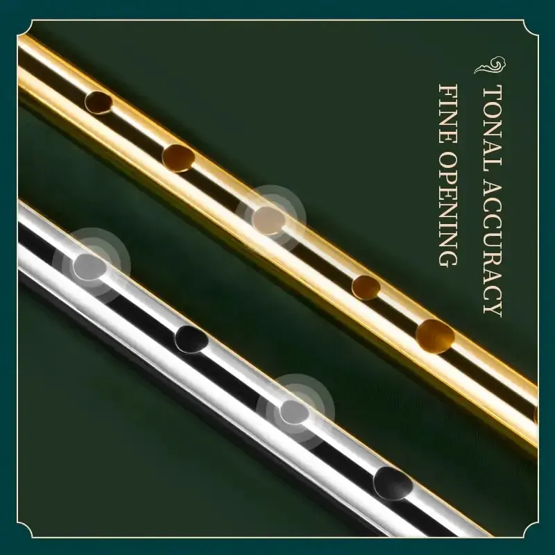Miwayer Authentic Irish Whistl - Penny Whistle D 评论和价格