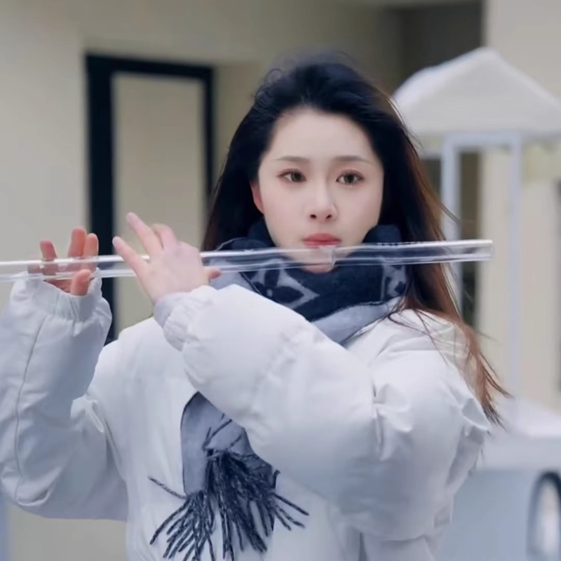 Transparent Flute Professional - Musical Instrument Fife 评论和价格