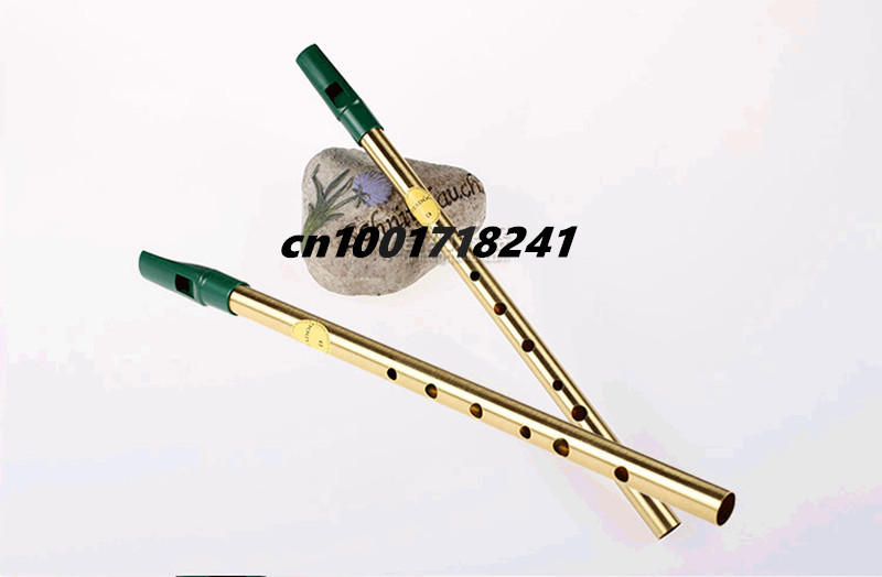 Brass Irish Whistle Flute Fead - Penny Whistle D 评论和价格