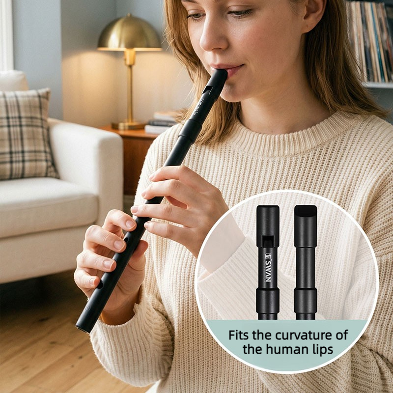 C/D Key Tin Whistle Beginner P - Penny Whistle D 评论和价格