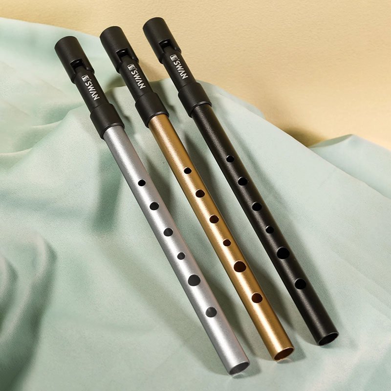 C/D Key Tin Whistle Beginner P - Penny Whistle D 评论和价格