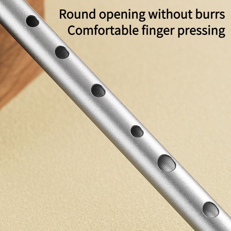 C/D Key Tin Whistle Beginner P - Penny Whistle D 评论和价格