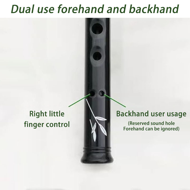 D/C Key Resin Penny Whistle Ad - Penny Whistle D 评论和价格