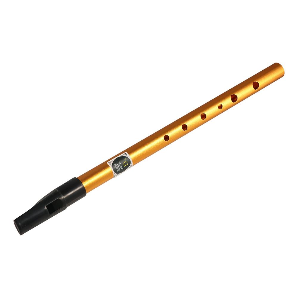 Musical Accessories 6 Hole Iri - Musical Instrument Irish 评论和价格