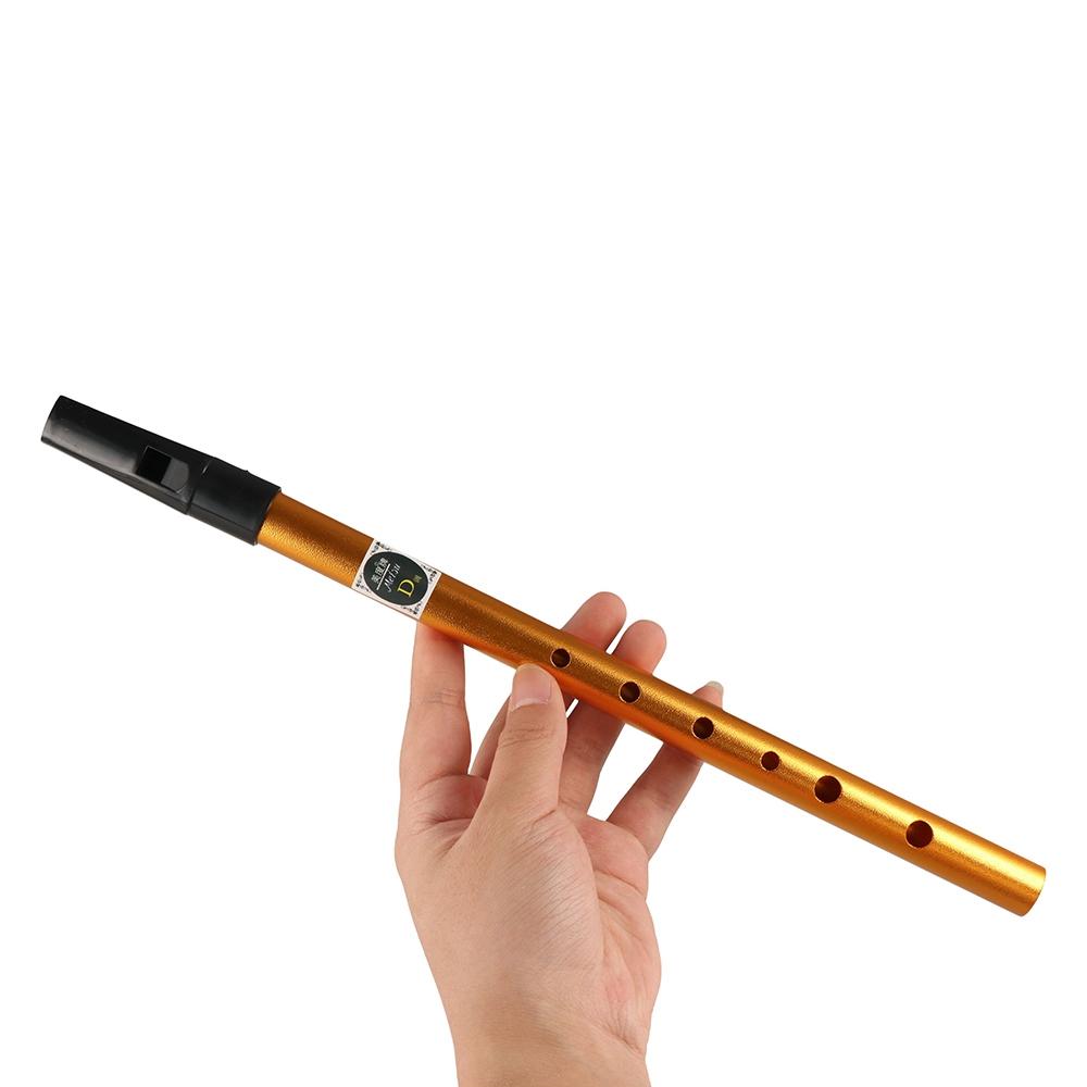 Musical Accessories 6 Hole Iri - Musical Instrument Irish 评论和价格