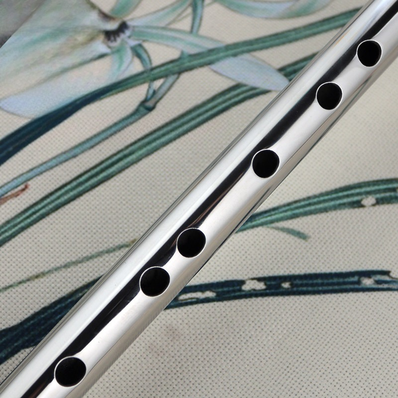 Stainless Steel Flute Professi - Musical Instrument Fife 评论和价格