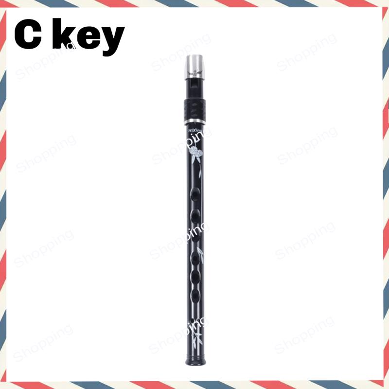 A44M 6 Holes Irish Tin Penny W - Penny Whistle D 评论和价格