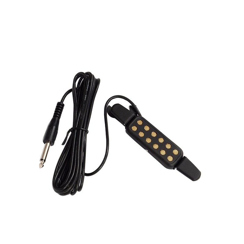 Professional Classic Acoustic  - Musical Instrument Amplifier 评论和价格