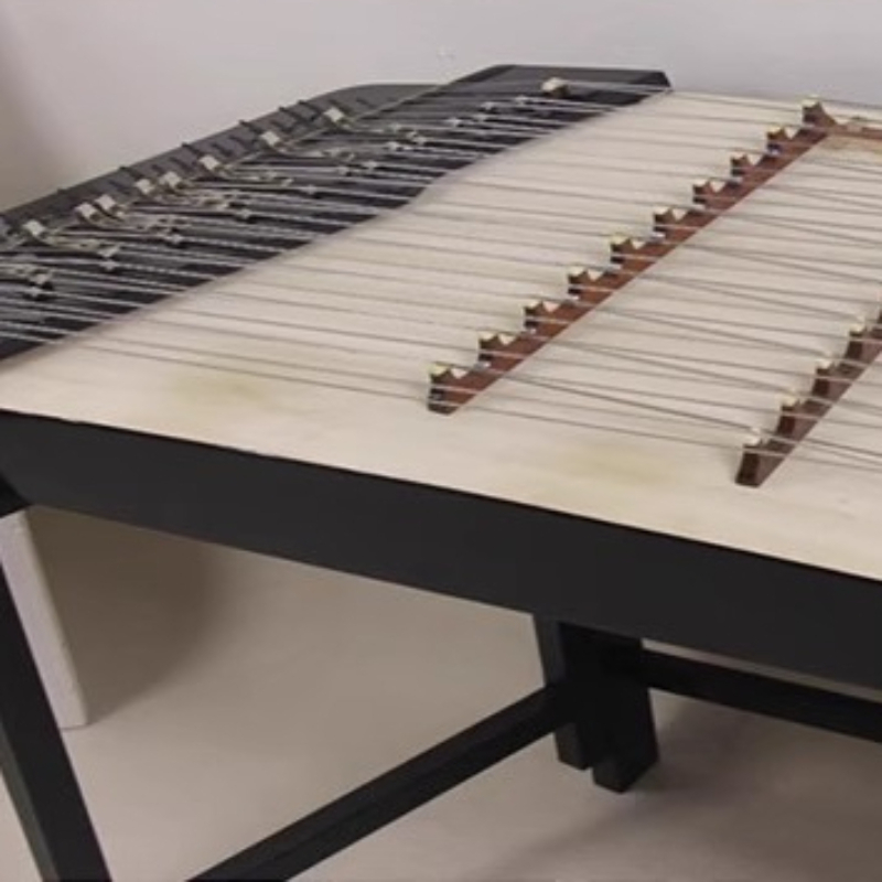 Professional Dulcimer Mini 8/1 - Musical Instrument I Play 评论和价格