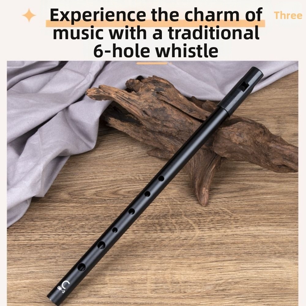 6 Holes C/D Key Irish Whistle  - Musical Instrument Irish 评论和价格