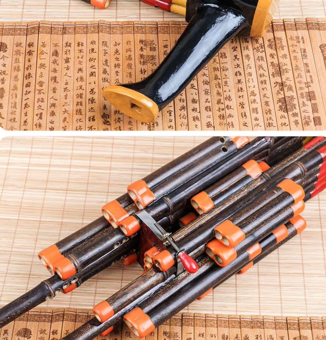 14 Reeds Sheng Double Sound Am - Musical Instrument Amplifier 评论和价格